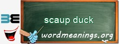 WordMeaning blackboard for scaup duck